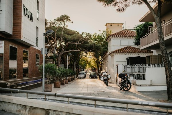 Quelle est l'efficacité des minijardins de toit pour lutter contre les îlots de chaleur en milieu urbain ?