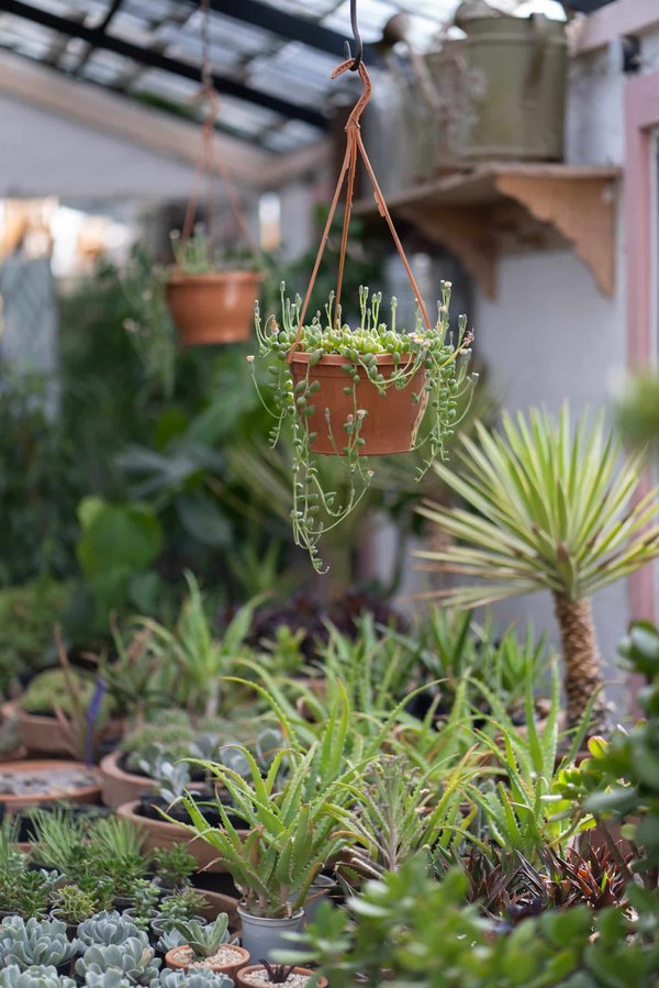 Profitez de la vie, faîtes construire un studio de jardin