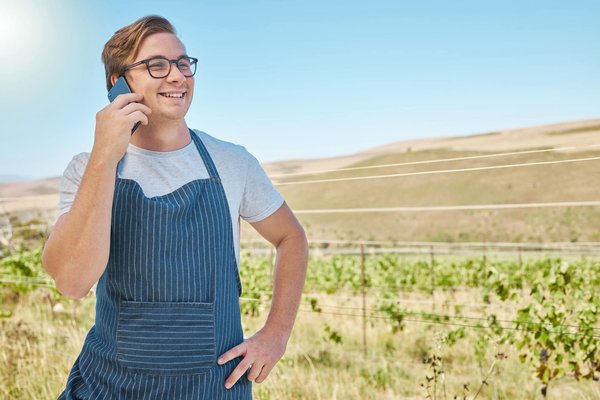 Investissement dans le vin : perte ou bénéfice?