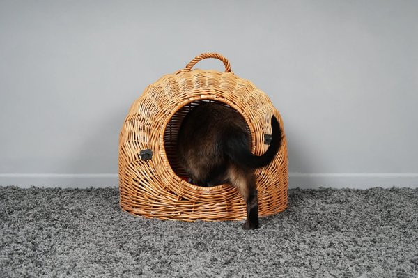 Top des niches pour chats pour 2024