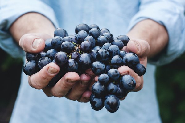 Maîtriser l'hygiène alimentaire : astuces et bonnes pratiques pour un environnement sain et sécurisé